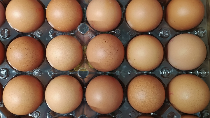 Виктор Лисицын/Globallookpress