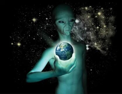 Заселим сюда особей