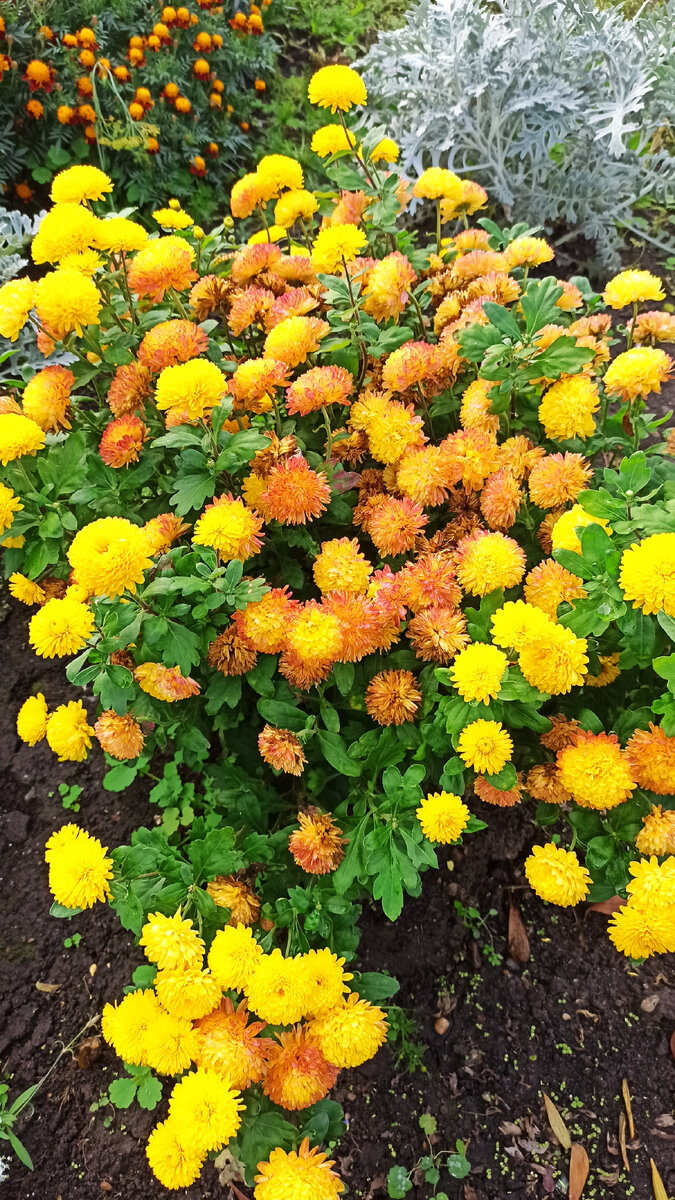 картины м. наступила осень ребята. рассказы для детей пересказывать. осень для детей. осень для детей.