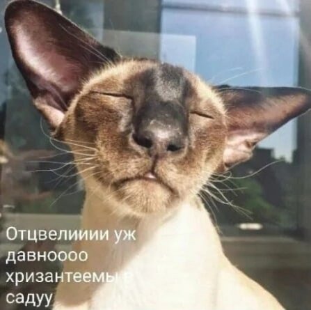 иллюстрация из яндекс картинки.