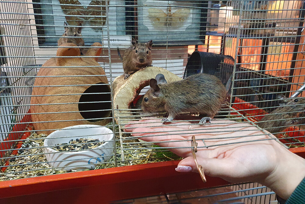     Фото: Руслан Мельников / РГ