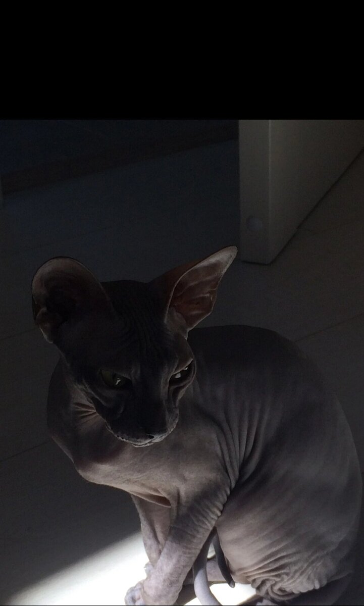 Старая фотка Василисы очень нравится, фото делала я