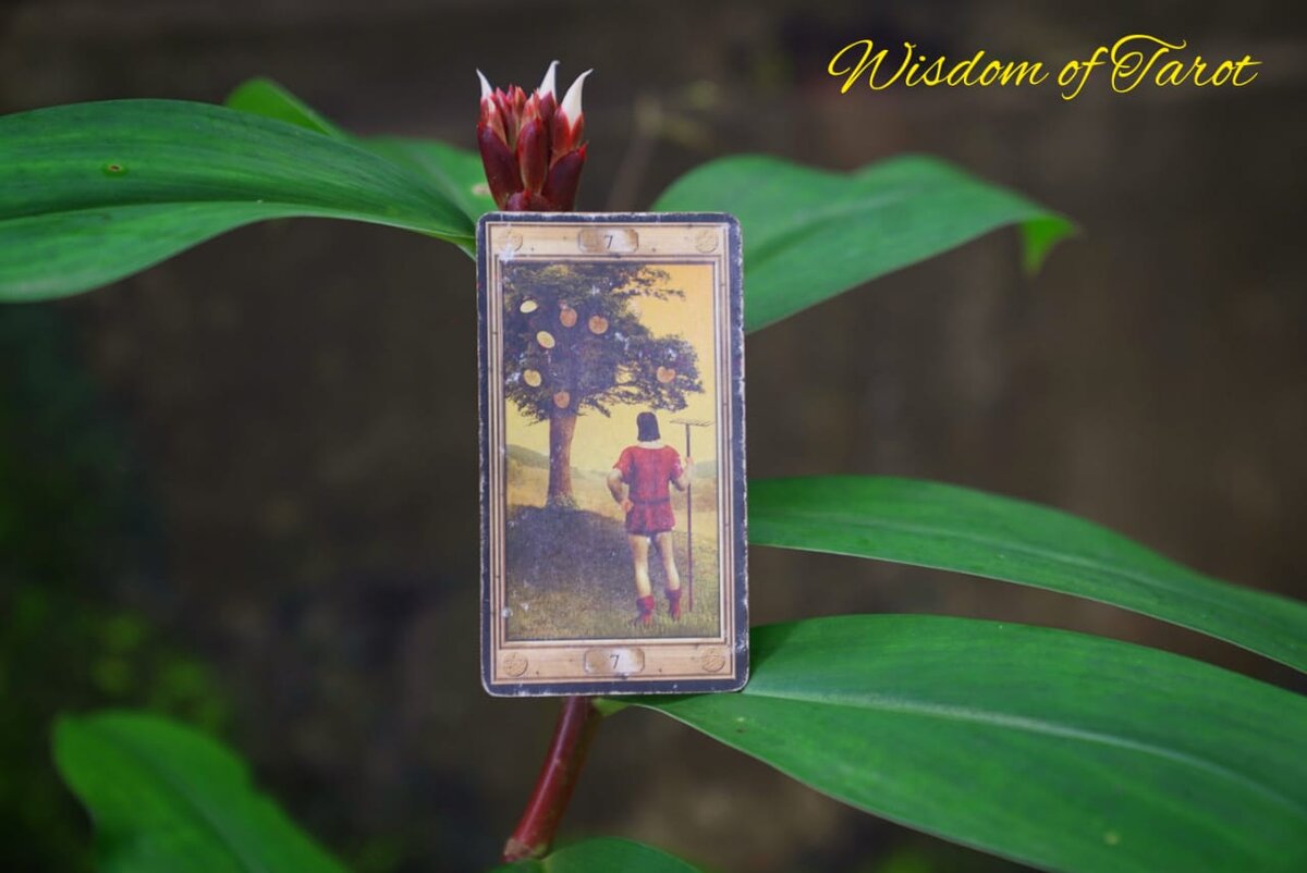 узи 6 недель беременности гипертонус. беременность на 2-3 недели беременности на узи. микки рурк 1990. через 5 недель ваши. ким бейсингер 1997.