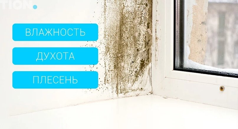 запотевают пластиковые окна. конденсат на пластиковых окнах. мороз внутри стеклопакета. потеют пластиковые окна в доме. почему в мороз потеют пластиковые окна.