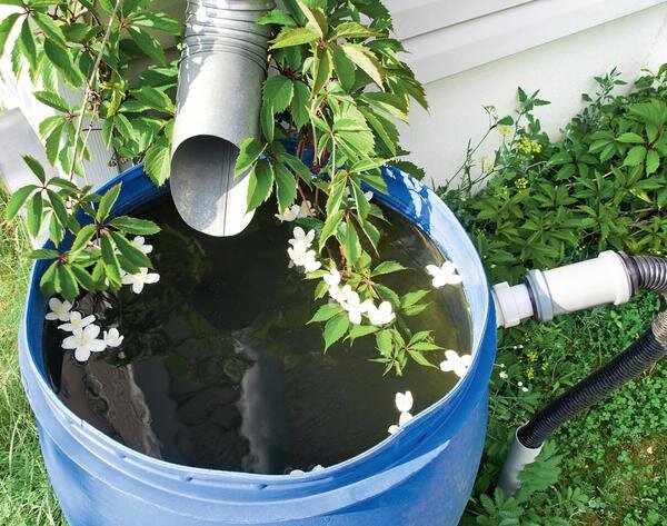 вентилятор. фотосессия с вентилятором. вентилятор напольный. человек под вентилятором. вентилятор домашний.