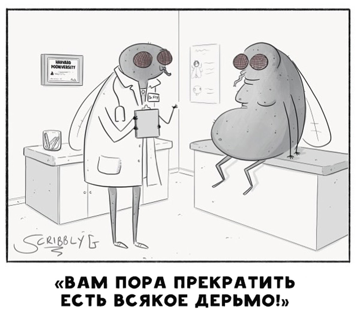 что общего черный юмор