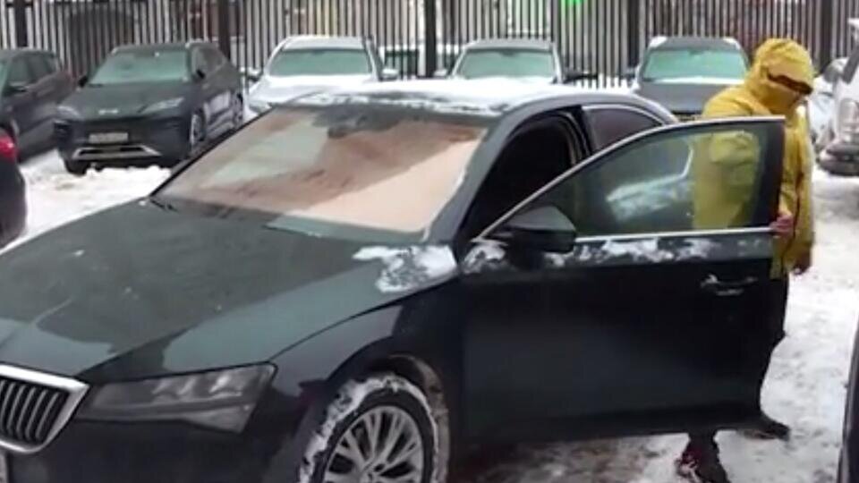 Фото: © Скриншот видео