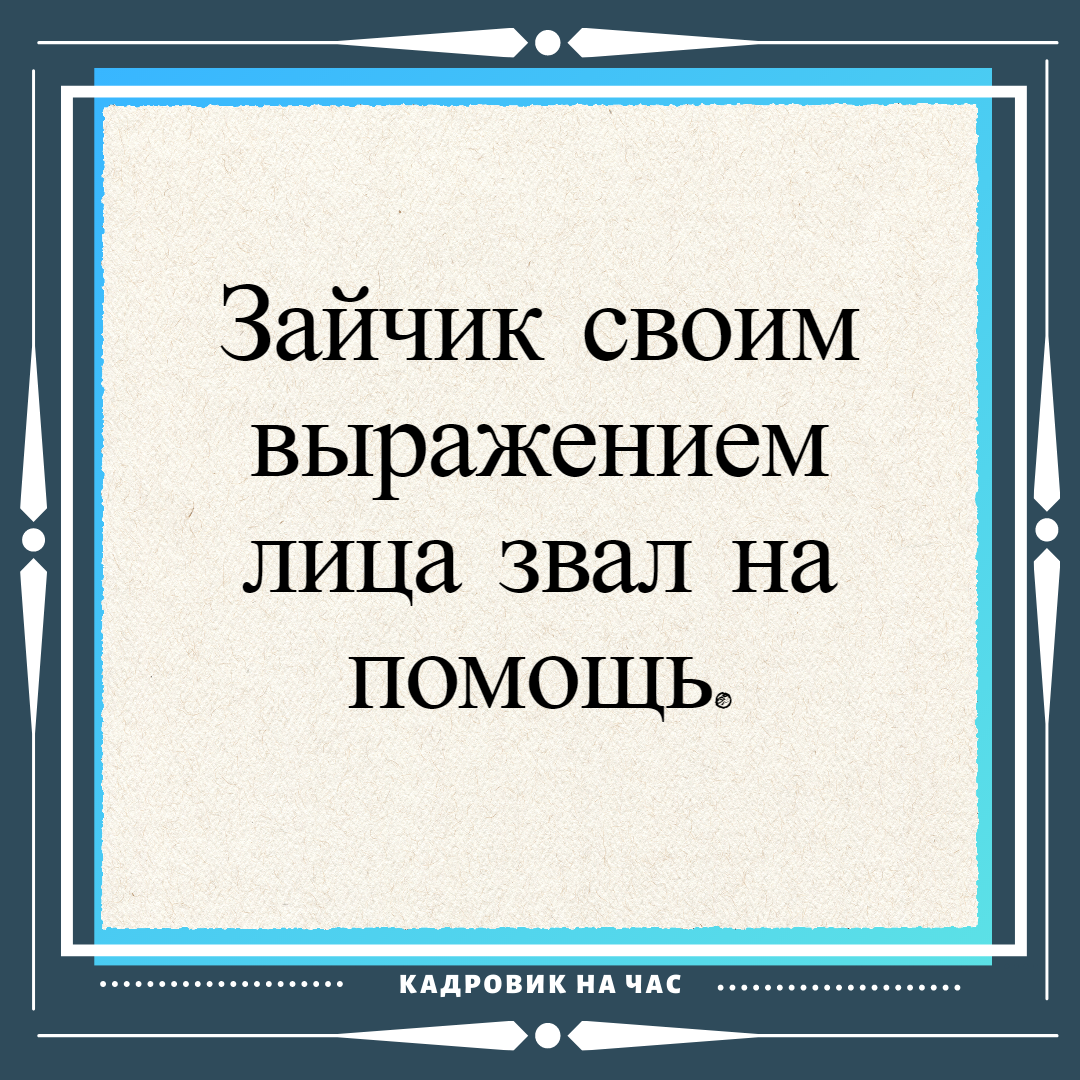 <b>Перлы</b> <b>из</b> школьных сочинений. 