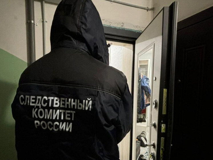 тело 17 летнего подростка. смерть подростка на западе москвы. убитая квартира в москве. убитая квартира. найдены мертвыми в квартире в москве.