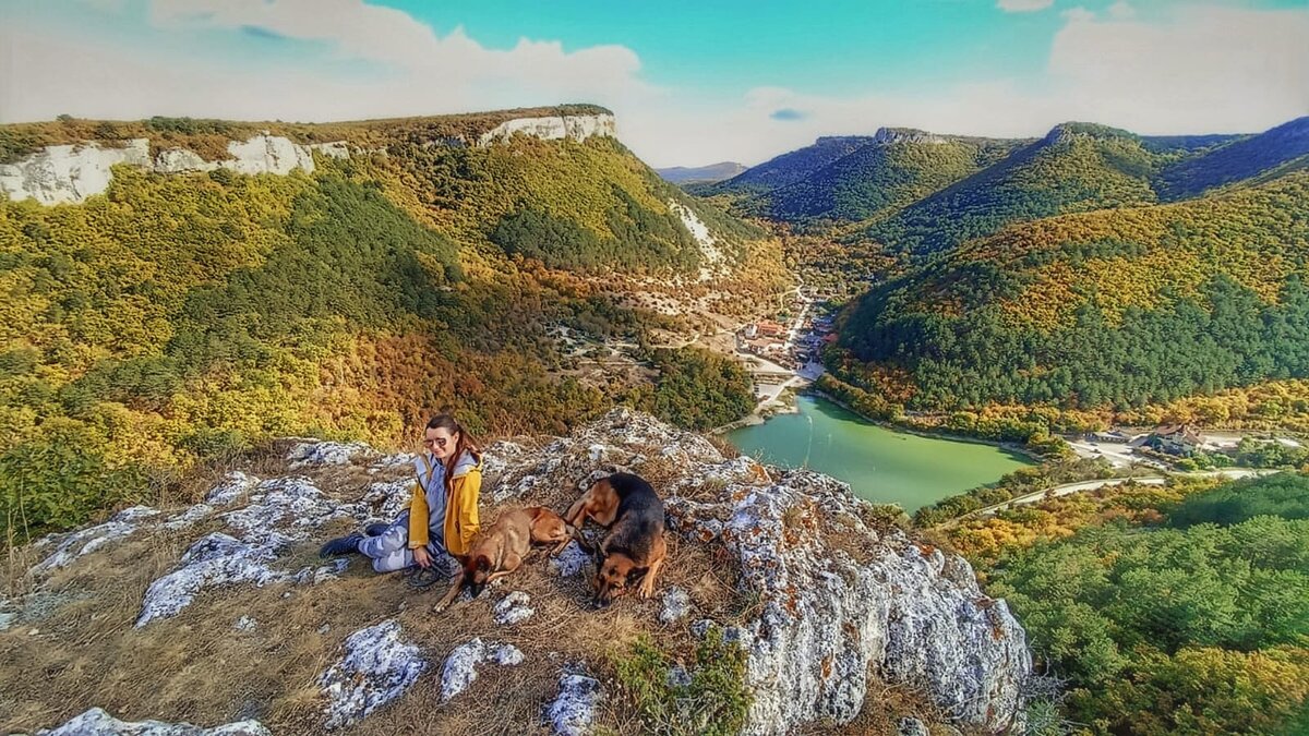 Я, малинуа и немец