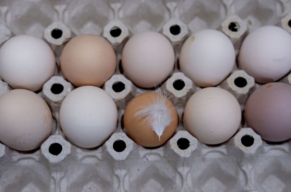 Фото: Е. Зимней