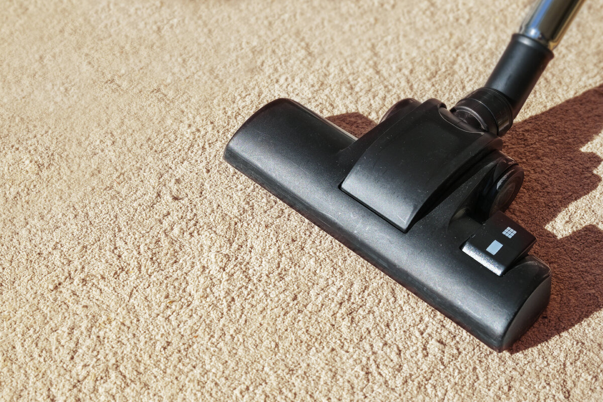     Как понять, что дома завелись пылевые клещи, и как от них избавиться