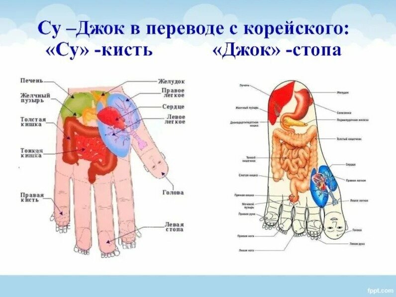 Зуд в заднем проходе