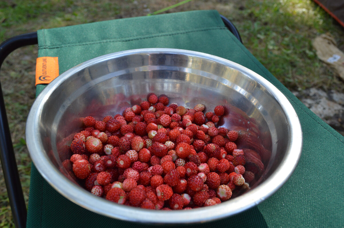 лучшие жизненные песни. красивые жизненные песни. мелодия жизни картинки. композиторы народной музыки. какая жизненная песня.