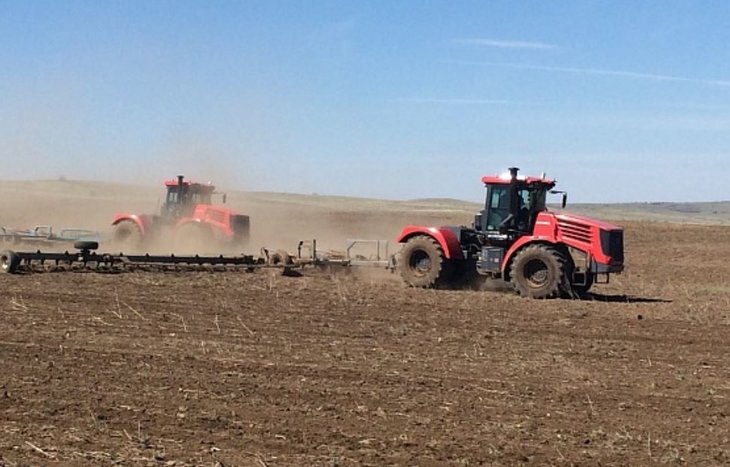    Волгоградский клин озимых под новый урожай занимает 1,635 млн га из 20 млн га озимых полей в РФ