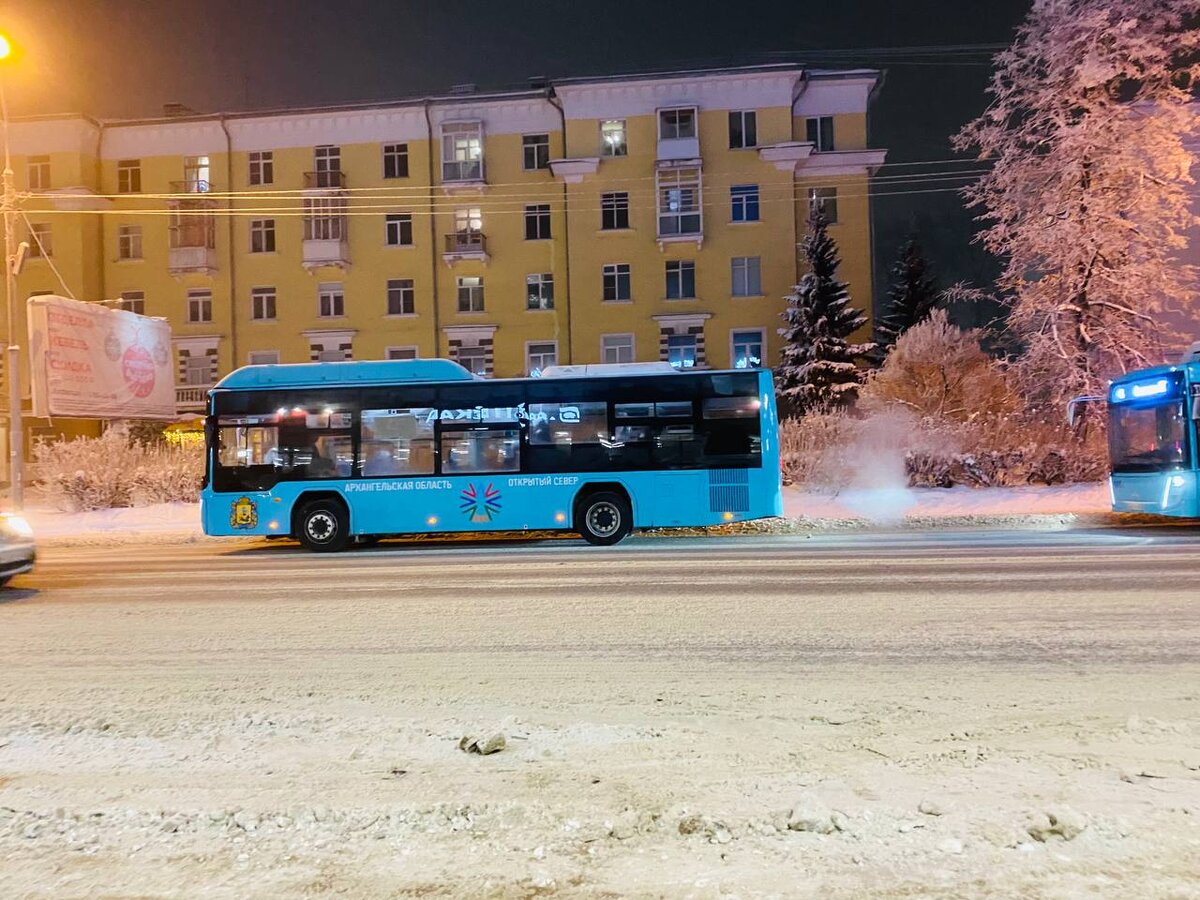 Фото: Дарья Теремецкая