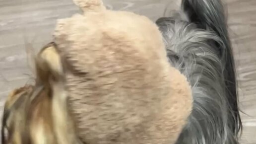 Поносить брата. Дети цените родителей. N. Поносить брата. Никогда не жалуйся на родителей.