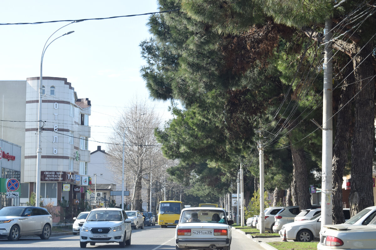 Многие после отдыха в Анапе переезжают жить.  Поделитесь комментарием.  Фото зима, 2024 г.