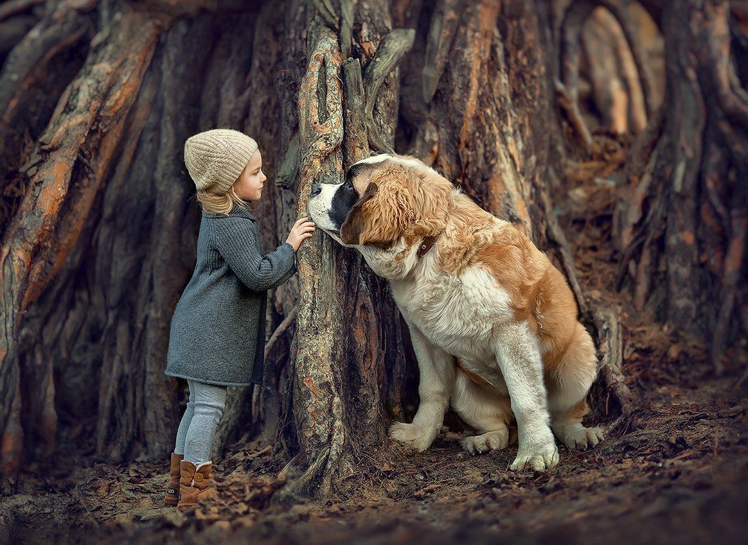 моментальная печать фотомагнитов. мальчик с фотоаппаратом. как правильно держать камеру. фоткать задания. задание сфотографировать.