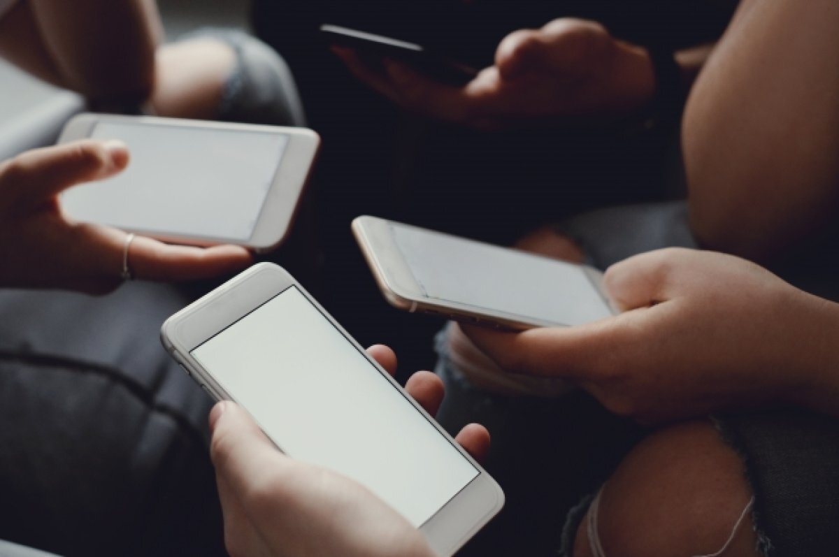    Подруга убитой в Воронеже девушки обратилась к пользователям в соцсети