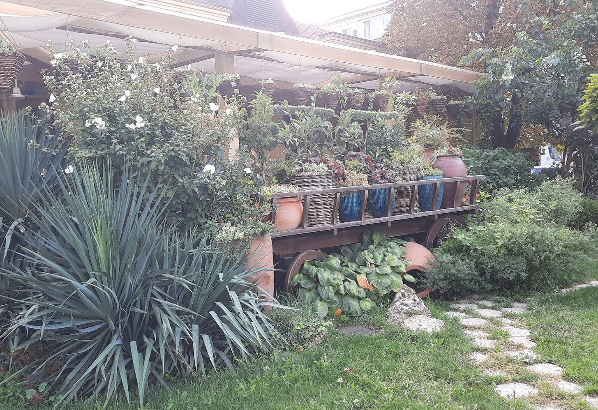 Краснодар, кафешка на ул. Красной, сентябрь 2023