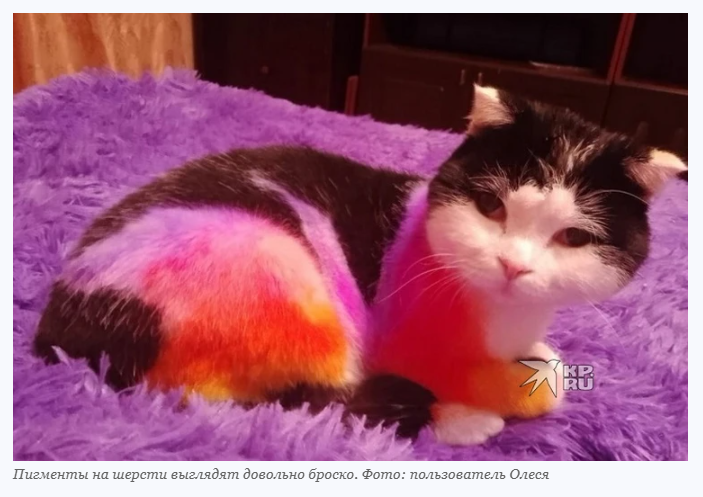 дать характеристику каждому предложению. хозяин ответ на загадку. подчеркните в словах изученные орфограммы. хозяин ответ на загадку. хозяин ответ на загадку.