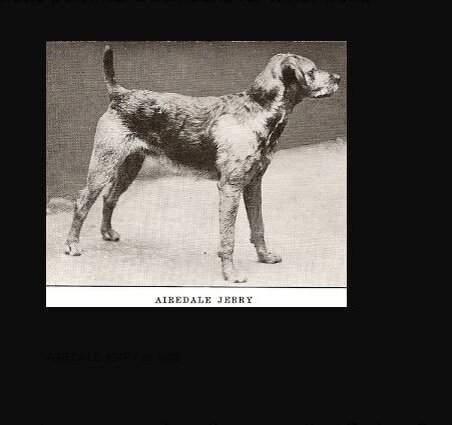  Джерри (1885 г.),