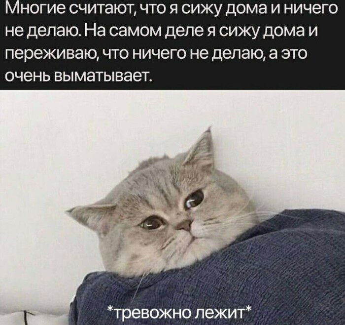 Источник изображения: Интернет 