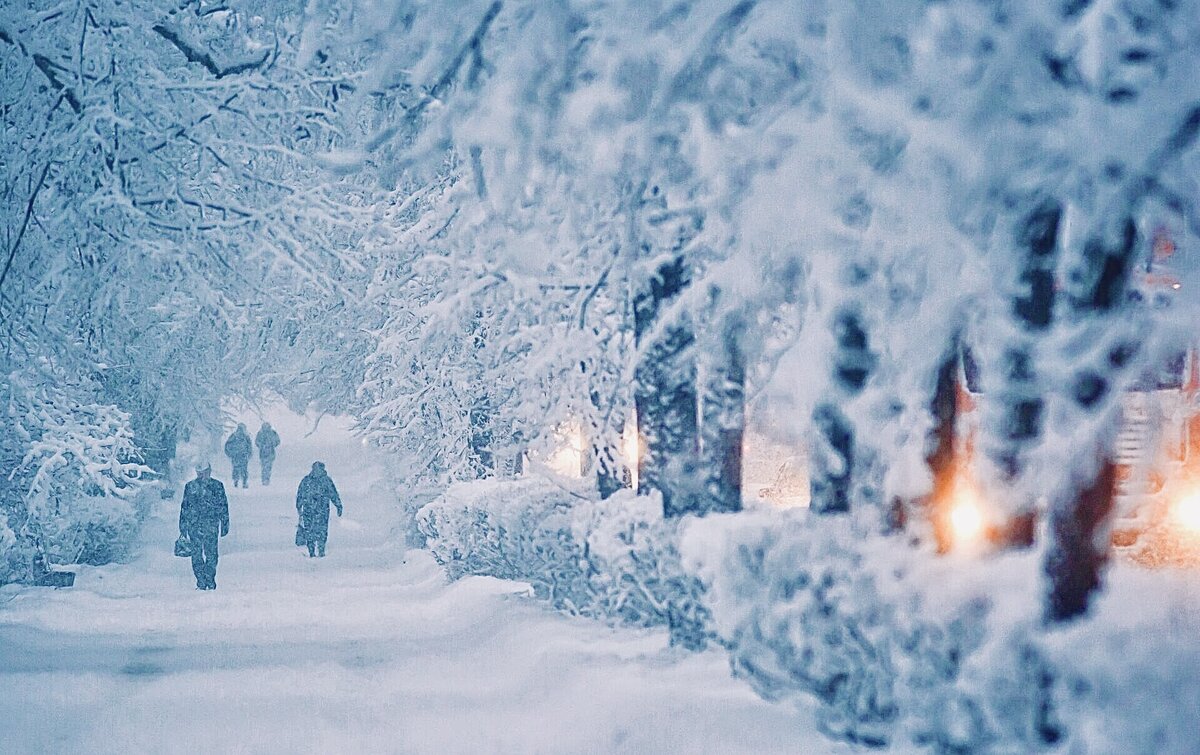 Изображение из интернета