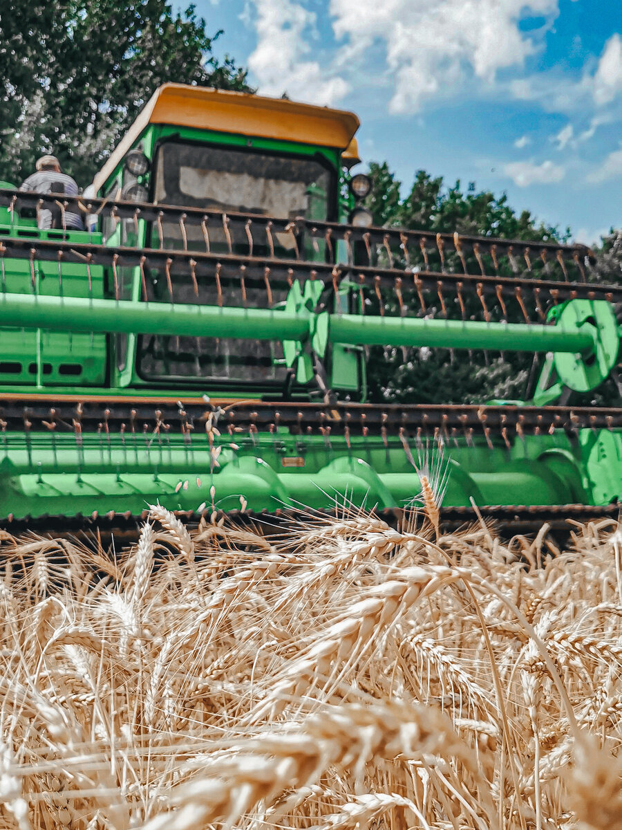 На уборке 2023