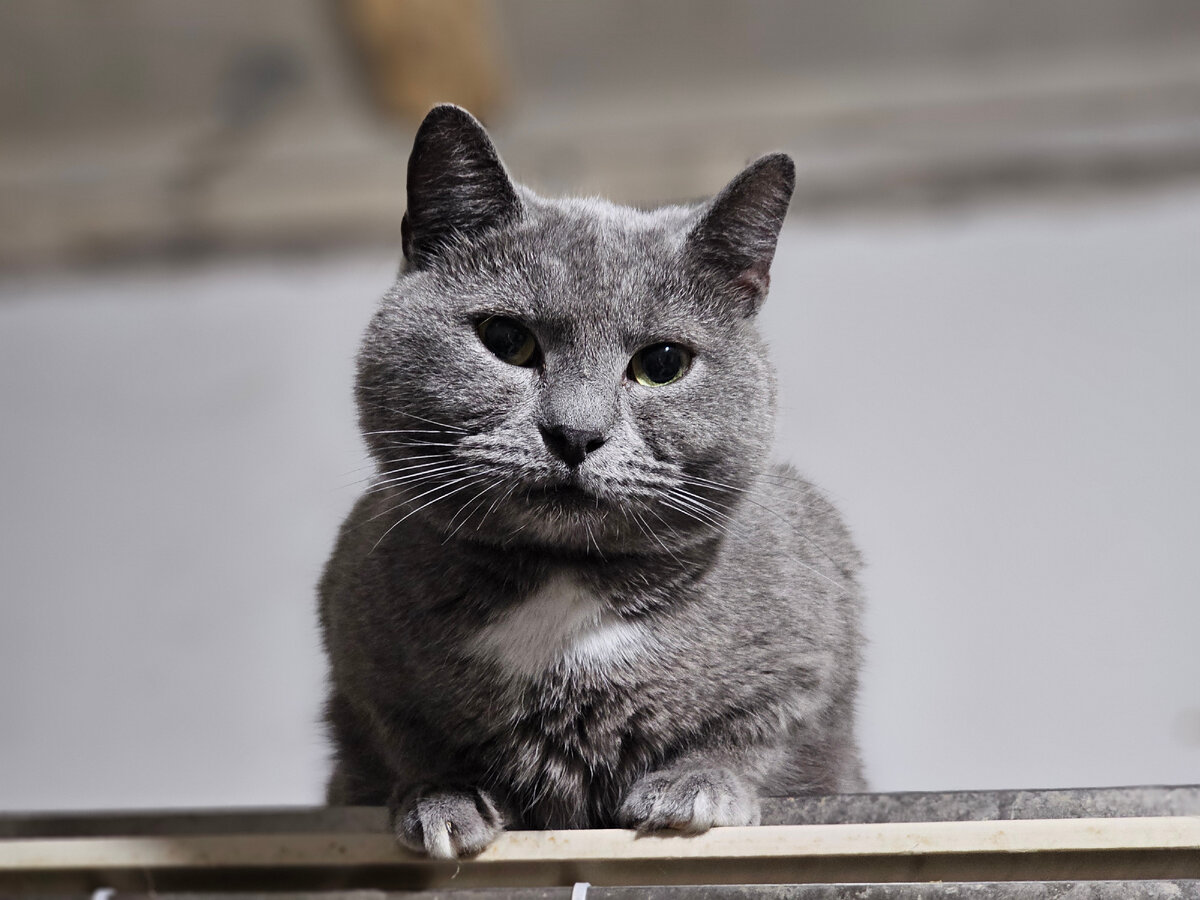 Если любишь будешь унижаться до последнего. Если человек любит он любит. Если любишь будешь унижаться до последнего. Если любишь будешь унижаться до последнего. Никогда ни перед кем не унижайся цитаты.