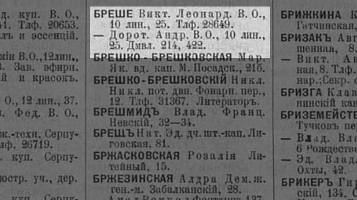 Бывший доходный дом швейцарского гражданина Л.И. Бреше на 10 линии В.О., д.  25 (111 фото) | Живу в Петербурге по причине Восторга! | Дзен