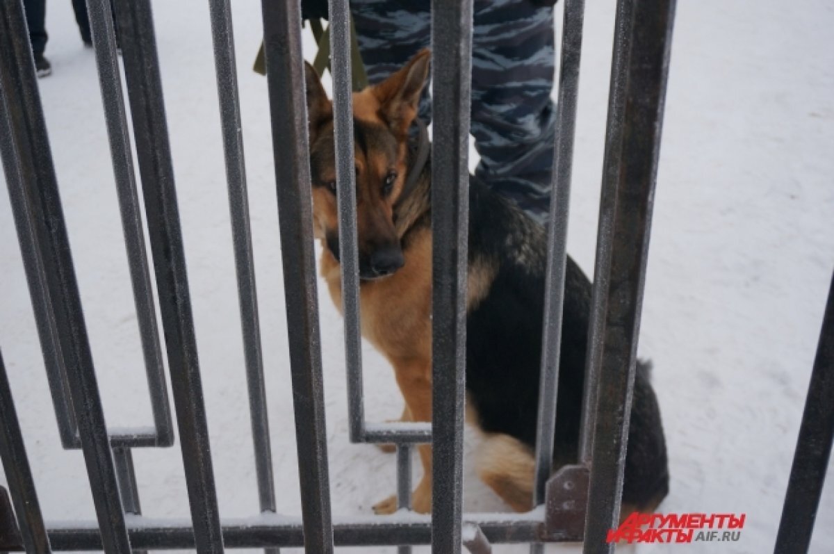    Минтербез опроверг информацию о взрывном устройстве в школе № 101 в Перми