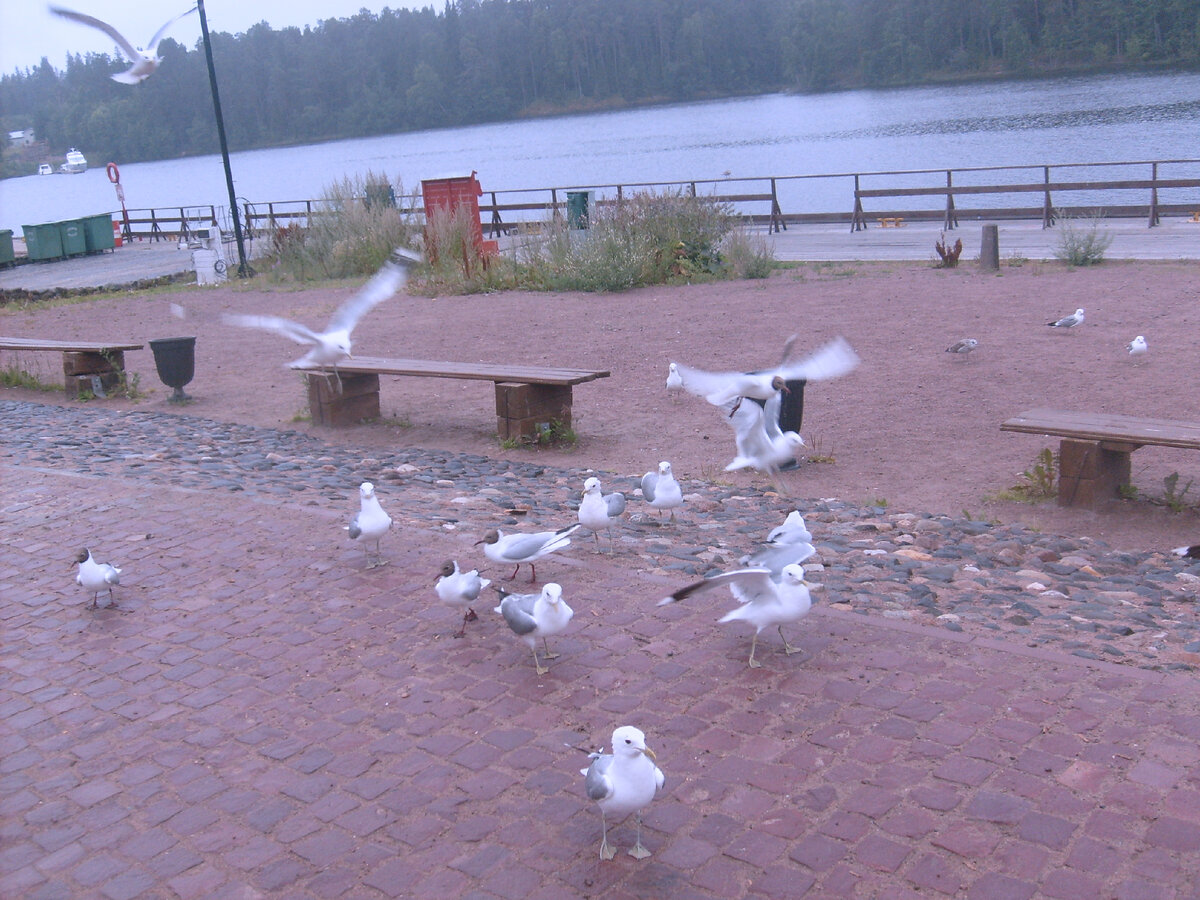 отражение в капельке воды. сила в каждой капле. дотерра баннер. энергия в каждой капле. сила в каждой капле.