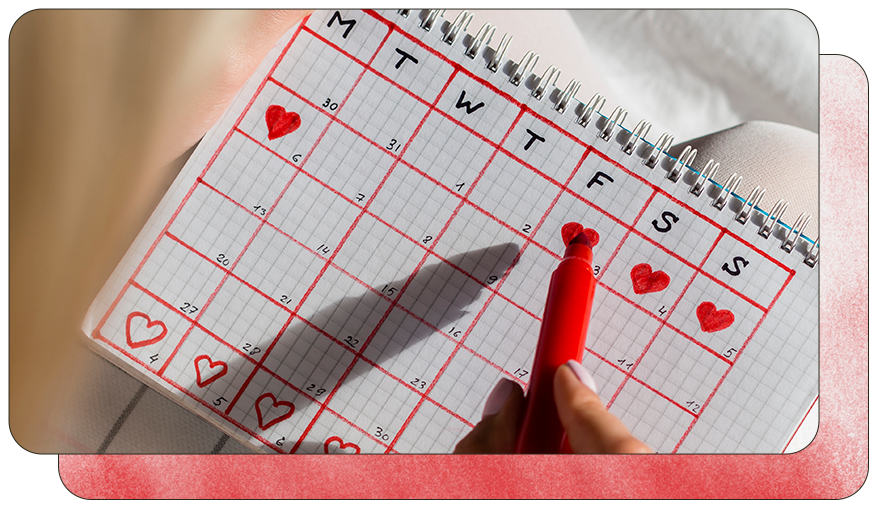 Цикл месячных 29. Дни менструального цикла. Эвитест 28 дц. Овуляция при цикле 29 дней. Менструальный цикл круг.