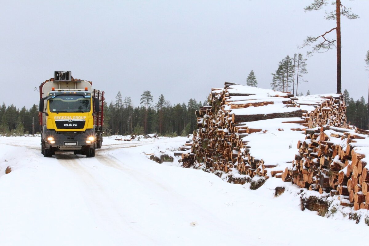 Биологические ресурсы россии. Разнообразие экосистем презентация. Карл линней (1707-1778). Приспособленность организмов к среде обитания 5 класс таблица 5 сред. Фотосинтез 6 класс.