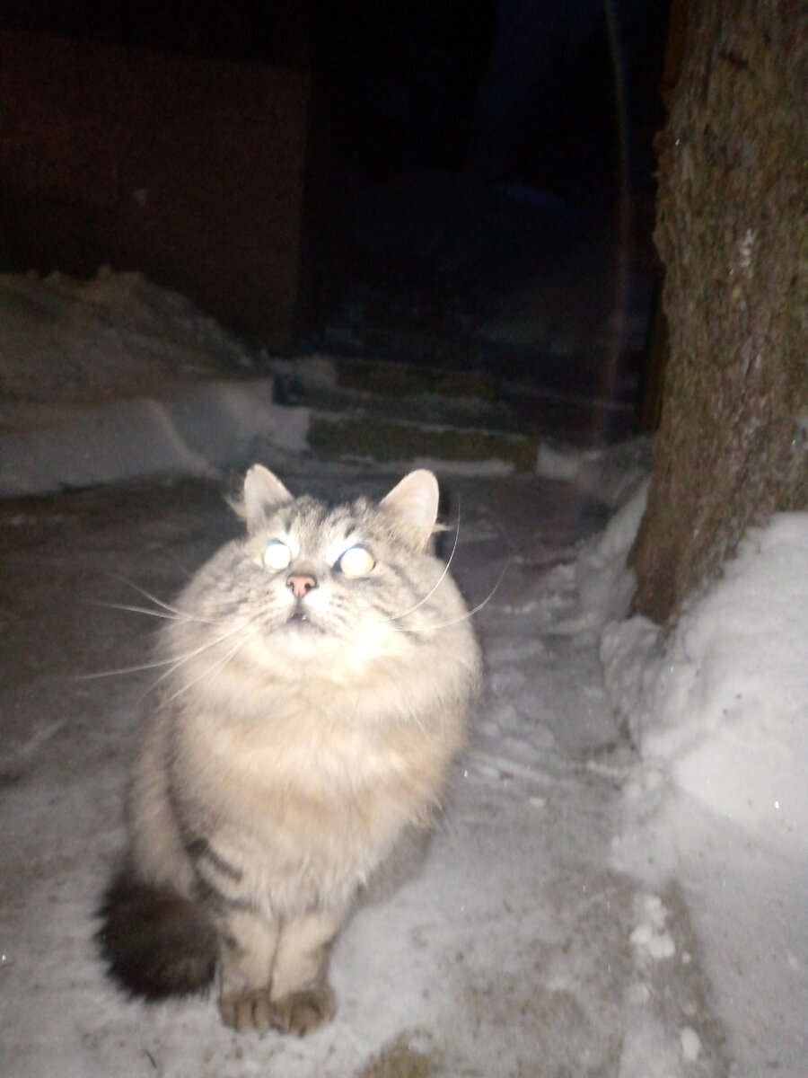 деревня мендим гафурийский район. новогодние стихи для детей. день приветствий 21 ноября. здравствуй праздник новогодний праздник елки. музыкальная книжка для детей новогодние песенки.