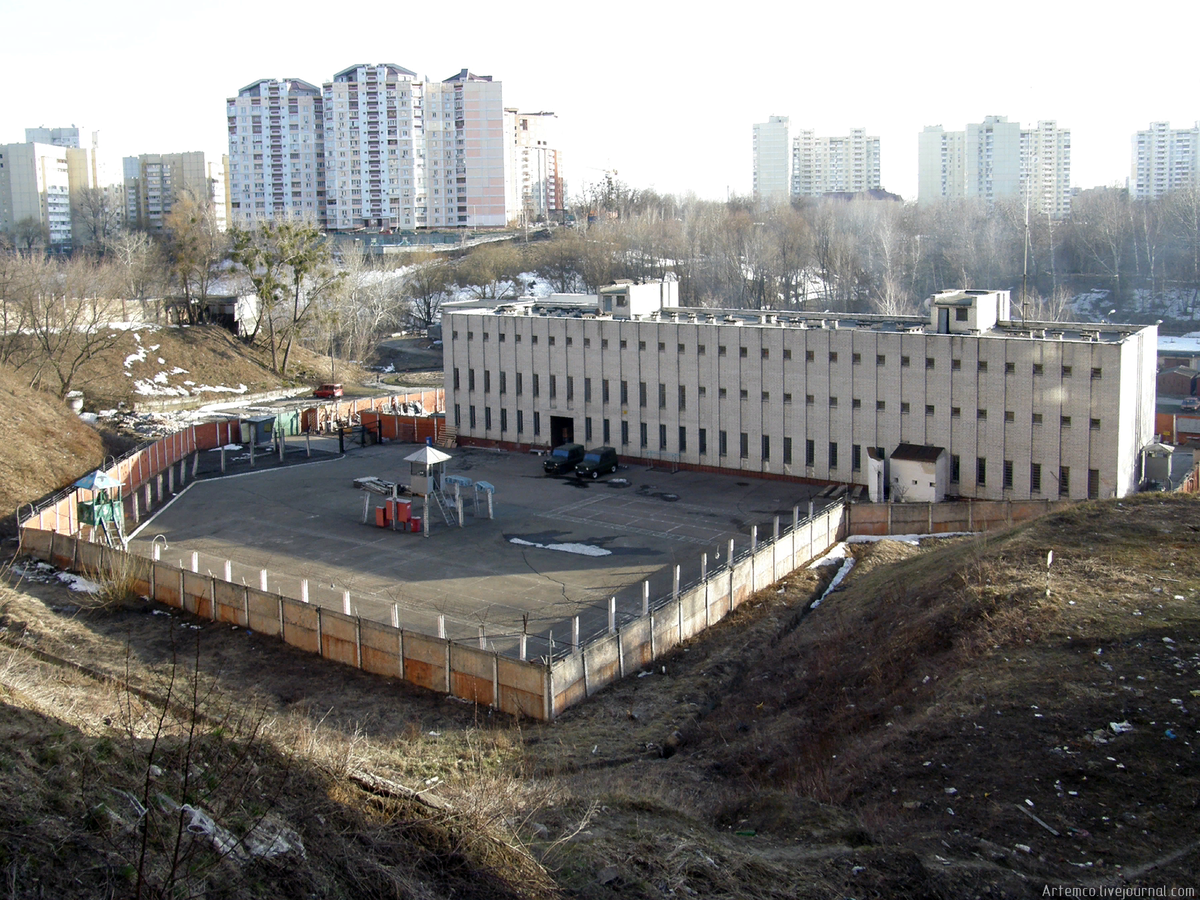 Фото   Яндекса