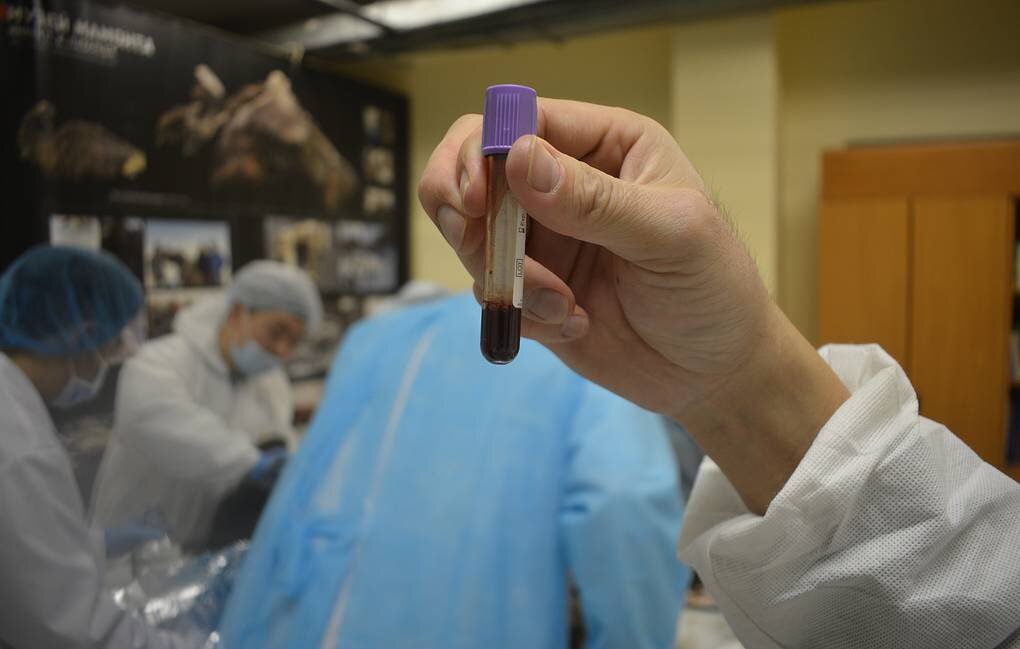 Фото: https://tass.ru/nauka/6337880