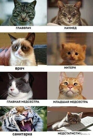 Чёт подозрительно мем. Привет от трех лиц. Прикол тебе привет от трех. Привет от трех лиц прикол. Привет от трех лиц прикол.