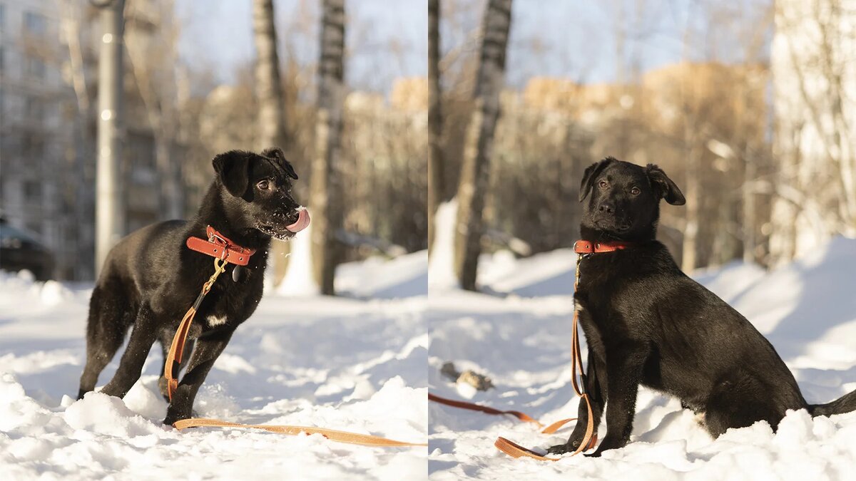 Приют чародеев москва. Приют чародеев кофейня меню. Приют чародеев москва. Приют чародеев кофейня. Приют чародеев кофейня.