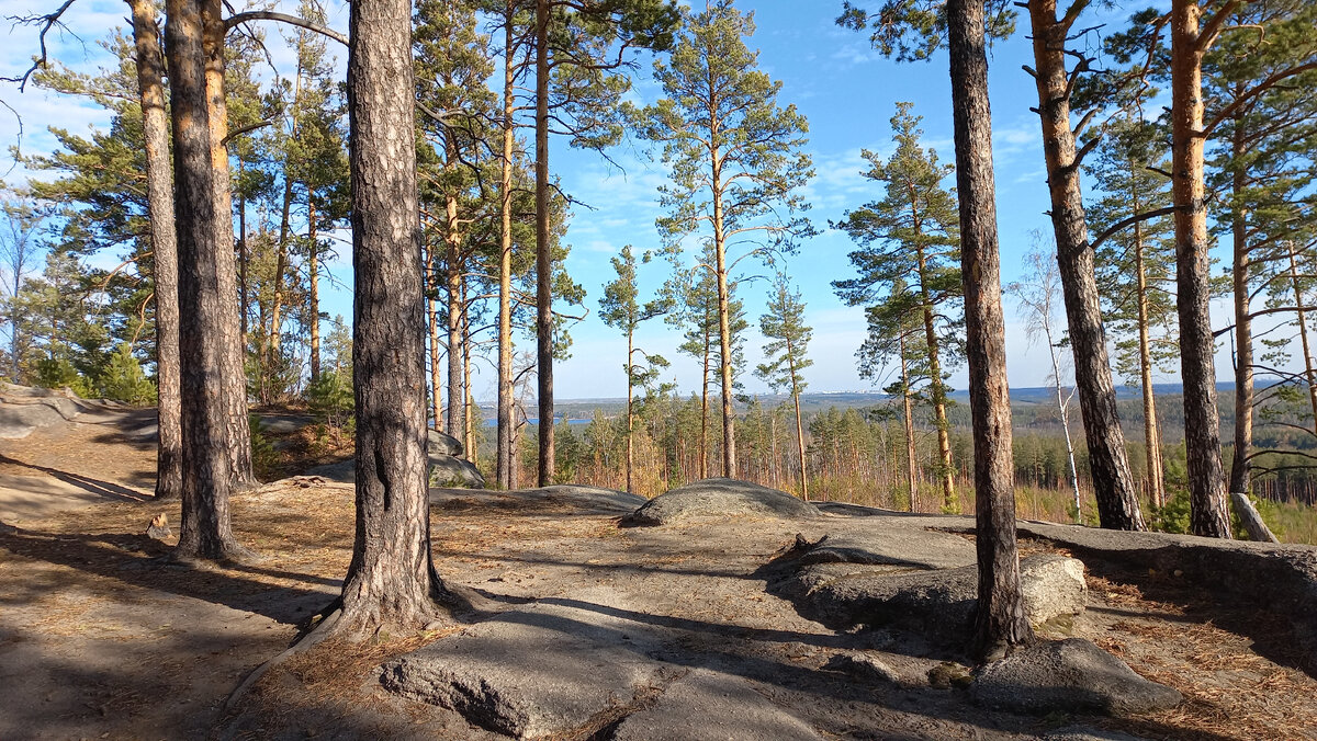 что означает одноименный