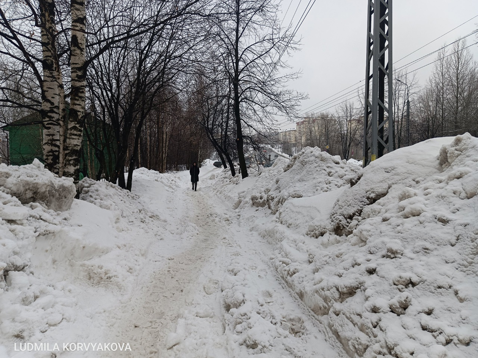 Сонник видеть снег