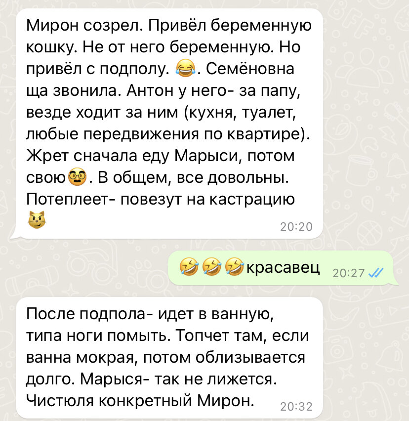 какой обычный день в школе