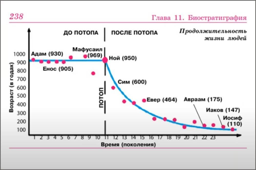    Продолжительность жизни людей по библейской хронологии. Фото: кадр видео