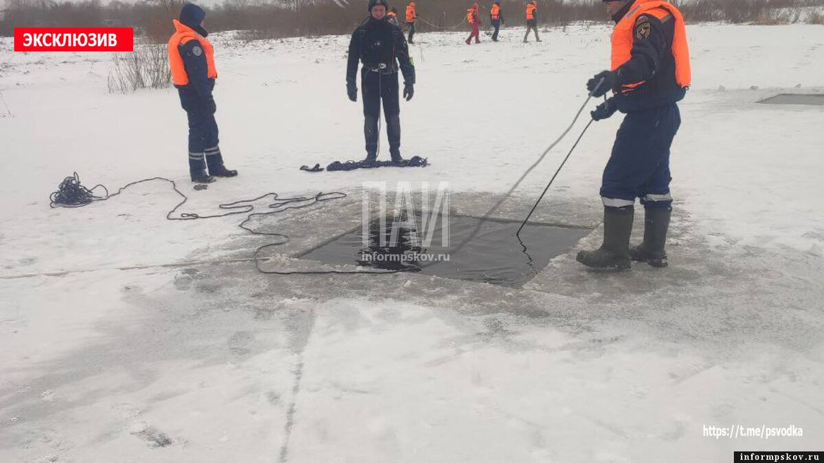 Стали известны подробности поисков пропавшей 11-летней девочки из Порховского района. Фото: ПАИ