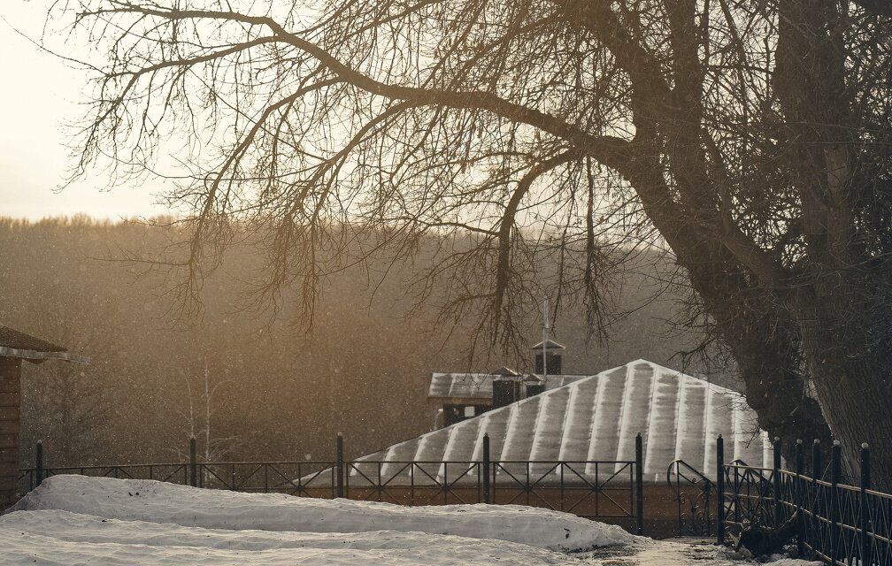 Светлана Мулыкина📷
