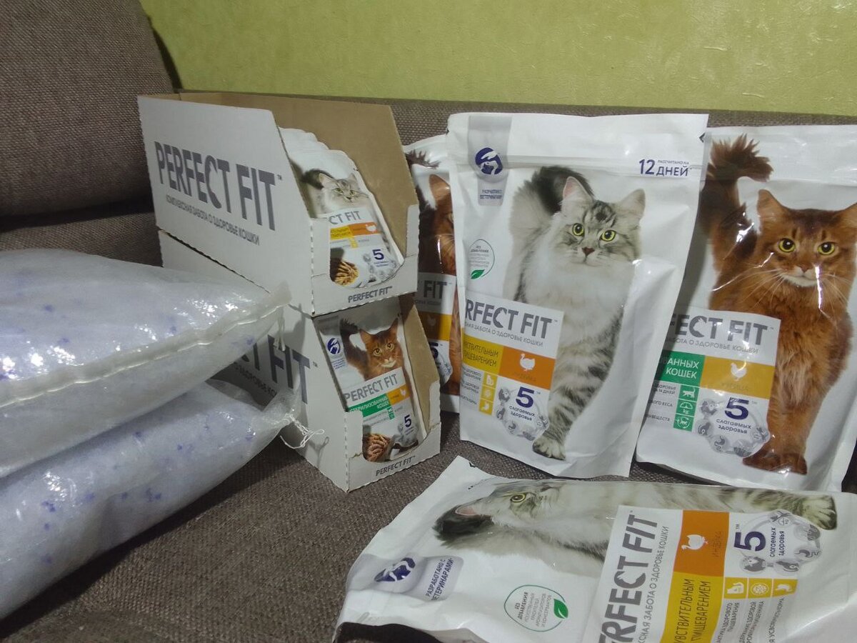 Сочетание сухих и влажных кормов для собак. Миска с кормом. Корм. Пакет для хранения сухого корма для собак. Гранулятор для корма собак.