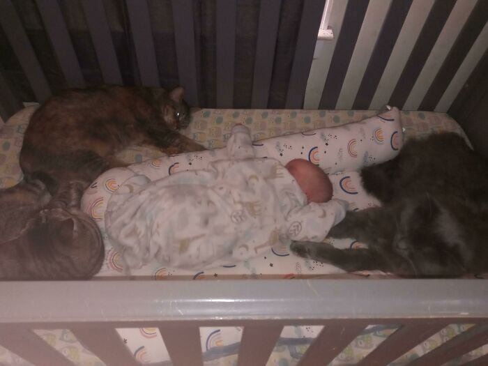 Вин дизель лысый нянька спецзадание. Нянька германия 2015. Няня фильм нетфликс. Нянечка с детьми. Сиделка для больного ребенка.