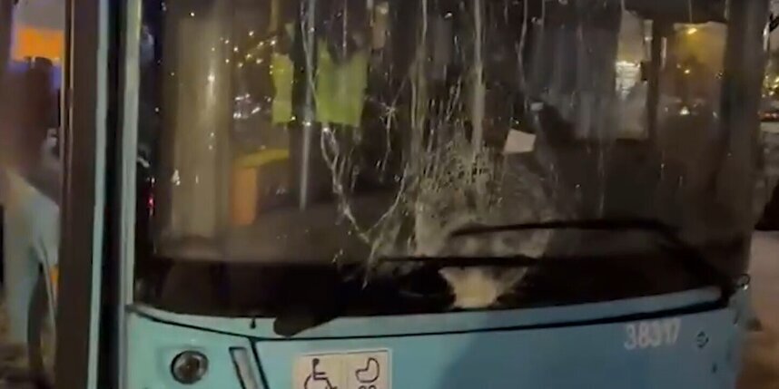    Фото: скриншот репортажа телеканала "Санкт-Петербург".